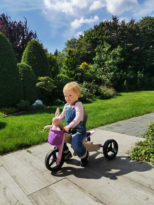 Small Foot Dřevěné Trike 2 v 1 růžové