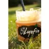 Lyofio Arašídový krém – slaný karamel 220 g