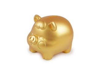 Stoklasa Zlaté prasátko pro štěstí / pokladnička pro svatby a Vánoce